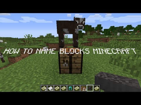 how to name in minecraft