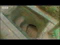 Vietnamese booby traps for American troops - Holidays in the Danger Zone: America Was Here - BBC travel & politics