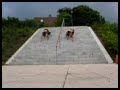 Viby Training
