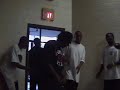 Scaring People With a Fake Iguana