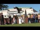3run Jam, amazing freerunning, 9th August 2007