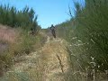 Rio Paiva BTT Raid 2008 II