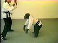 Kung foo monkey Kung foo monkey