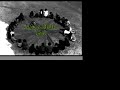 gerak tribuana, tai chi, silat, tapasudana,lutchia,bali