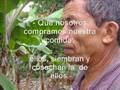 COLOMBIA AMAR Y SERVIR: Entre la Ciudad y el Campo. IMCA
