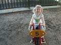 Driving to the Zoo