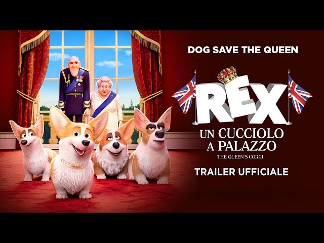 Anteprima Immagine Trailer Rex - Un cucciolo a palazzo, trailer ufficiale italiano