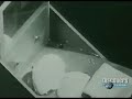 Huevo salvado por el cinturon