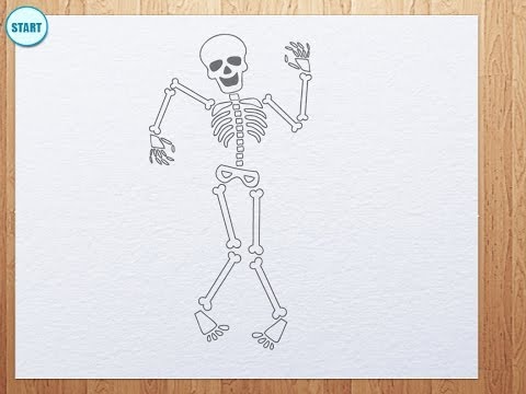 how to draw skeleton