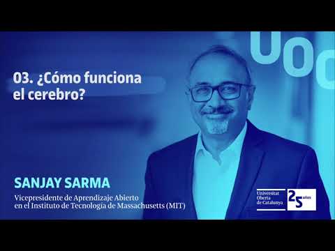 ¿Cómo funciona el cerebro?