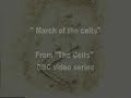 Enya - March of the celts