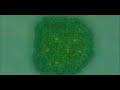 Daniel Zwiercan Demo-Reel (ON DEMAND) Daniel Zwiercan Demo-Reel (ON DEMAND)