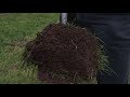 Pasture Promise