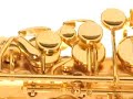 Orpheus Musical Instruments \" Steve Goodson\" Model Alto Sax Orpheus Musical Instruments \" Steve Goodson\" Model Alto Sax