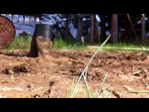 See video