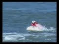 Amazing Dogs on surf \
