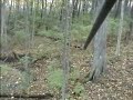 Ohio 9 Point Buck Shot with Mathews