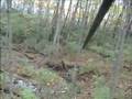 Ohio 9 Point Buck Shot with Mathews