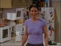 Friends - La gata de Rachel