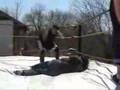 PWF Violence April 21st 2007