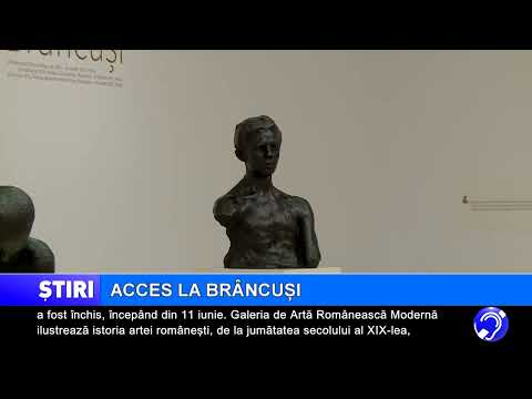 Acces la Brâncuși