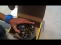 Click here to watch this video Evlution 3 (eggy 3) hopper drop test