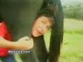 Cavalo Cagando