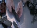 Product Review of Zero Tolerance 0100 knife