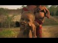Songs for Survival KT Tunstall