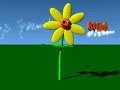 Daisy \ Daisy \