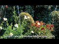 Le jardin des 1001 nuits Le jardin des 1001 nuits