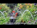 Le jardin des 1001 nuits 