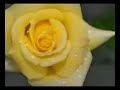 M�ziksiz ilahiler 2 - Bilmem nideyim