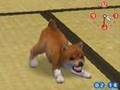 Nintendogs Shiba Inu