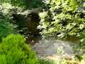 Rosedale Abbey River