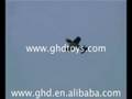 4D FM.RC Plane　