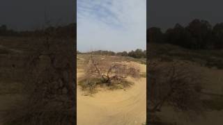 مسجد النبي روبين  في فلسطين المحتله