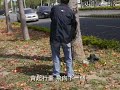 ＊「獨爽爽」不如「眾爽爽」＊ 如果我入選了「最爽職缺」這份工作，您說我是否很爽？ 一百五十萬入袋，又免費吃住，怎麼會不爽呢！ 然而，爽也只是一時。 畢竟一百八十天要走完一百間民宿，那可不能只是走馬看花；對我來說，凡走過的，都必用心留下最美麗的足跡。 跟著我的足跡走，您的心將與我一起同遊； 我的所見所聞的收穫，如同甘醇的美酒將斟滿您內心的酒杯； 酒足飯飽之餘，回味不盡的旅程中的驚喜和感動，屬於我的，更是屬於您的。 畢竟「獨爽爽」不如「眾爽爽」！ 這也才不辜負您投我的一票呀！ ＊更多豐富有趣的民宿資訊www.eastbnb.com