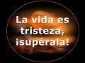 la vida es más bella de lo q parece Publicado en el libro - Un triunfo en la vida - Año 2008