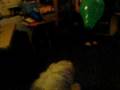 videos de Woody and the green balloon