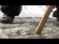 View Video