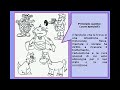 2010-i_diritti_dei_bambini.flv
