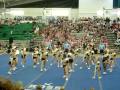 fca gems citrines