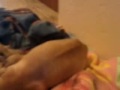 videos de Chispita having her puppies