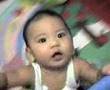 wayne papa
