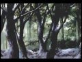 Clip Emma Shapplin Celtica