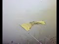 ARIS-Olimpiakos telikos final the best video!!!!!!!!!!