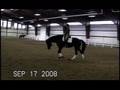 Mystique SageCreekEquestrian Annie