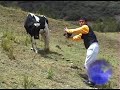 Mix Toro Barroso