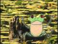Two of a Kind: The Double Life of Amphibians (revised)